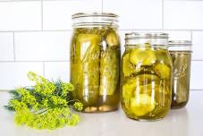 Making Pickles! MINI-CAMP