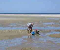 best beach near dennis ma for toddler