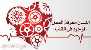 اللسان مغرفة العقل الموجود في القلب advisor cs self development blog posts cards
