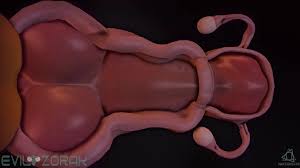 Buffpups Backwoods Bootycall