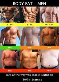 Herbalife Body Fat Visceral Fat