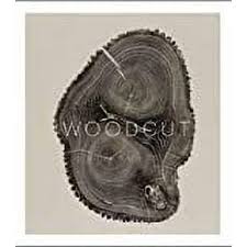 Woodcut (The artwork of Bryan Nash Gill) (Hardcover)