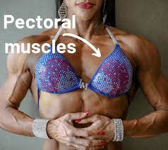Since 1999, exrx.net has been a resource for exercise professionals, coaches, and fitness enthusiasts; 2 Chest Stretches For Overcoming Rounded Shoulders Pelvic Exercises
