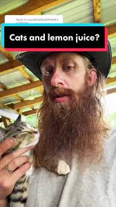 Dillon Michael White Lemon Juice Cat