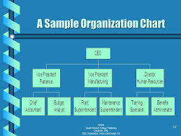 fundamentals of organization structure ppt video online