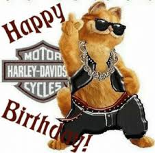 25 Best Harley Davidson Fatboy Memes Harley Birthday Meme Memes 3 Days Memes Police Birthday Memes