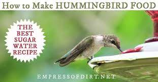 How To Make Hummingbird Food Sugar Water Recipe Hummingbird Food Sugar Water For Hummingbirds Make Hummingbird Food