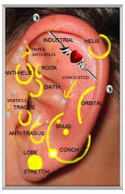 Unbiased Earring Piercing Pain Chart Ear Piercings As
