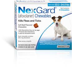 Nexgard Flea And Tick Protection For Dogs The 1 Choice Of