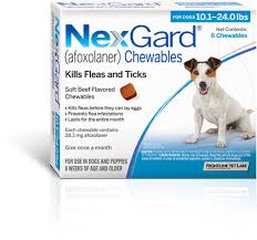 nexgard flea and tick protection for dogs the 1 choice of