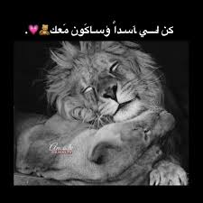 ڪن لي اسد iphone wallpaper quotes love fantasy photography mood instagram