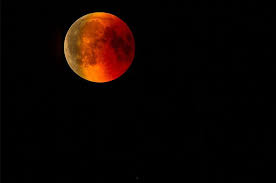 Jun 07, 2021 · di utara indonesia yang berbatasan dengan filipina, tepatnya di pulau sangihe, rencana pertambangan emas berpotensi menenggelamkan pulau tersebut, juga membahayakan spesies burung endemik yang. Terjadi Pada 26 Mei 2021 Gerhana Bulan Total Merah Super Yang Langka Bisa Disaksikan Dari Indonesia Semua Halaman Bobo