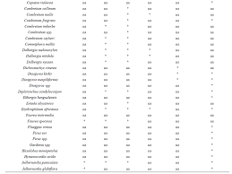 Image result for Faurea intermedia