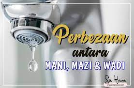 Mengenai hukum cairan yang keluar dari kemaluan. Perbezaan Antara Air Mani Mazi Dan Wadi Yang Wajib Untuk Diketahui