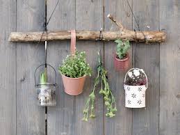 Diy Hangen Sie Ihre Pflanzen An Die Wand Pflanzen Hangepflanzen Gartenprojekte