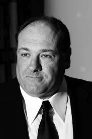 Tracy Knibbs's Instagram, Twitter & Facebook