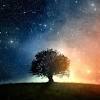 Home » stock wallpapers » apple macbook air 2020 stock wallpapers. Https Encrypted Tbn0 Gstatic Com Images Q Tbn And9gct7hpe2iw1ryrpd9sli8fvnyjwdglckmzw7gt Ylkevpclsp7pg Usqp Cau