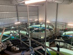 Continued innovation in bluehouse salmon farming, selling usa raised bluehouse salmon across north america, and on the leading stock exchange for seafood companies globally. Why Is Atlantic Sapphire Destroying 62 5 Of Its Emergency Harvest