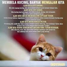 Aalii muhammad ~ mendapat rahmat alalh dan mendapat syafaat rasulullah di dunia dan di akhirat. Waktu Solat Malaysia Waktu Solat Dot Net