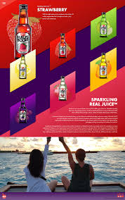 The secondary packaging is structured well to carry the weight of the bottles. Hausboom 2019 Website On Behance