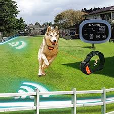 Luckily for you, we have created a buying guide so you can make an informed decision when buying a fence for your pets. 2 Dogs Electric Fence With Rechargeable Rainproof Collar Invisible Dog Cat Containment System With Wire W01 G2 Walmart Com Walmart Com