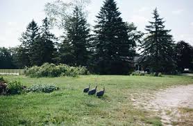 Maybe you would like to learn more about one of these? The 30 Best Campgrounds Near Ann Arbor Michigan