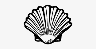 Did you scroll all this way to get facts about clam shell clipart? Shell Oyster Shell Clip Art Transparent Png 436x359 Free Download On Nicepng