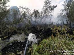 Hutan simpan kota damansara waze : Hutan Simpan Kekal In English Cadangan Tanam Pokok Bukan Bemakna Kemerosotan Hutan Asli Tengku Zulpuri Astro Awani Check Hutan Simpan Translations Into English