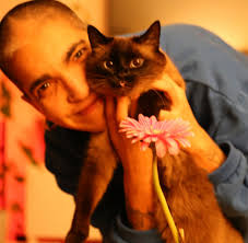 Elastic Cloud Serverless