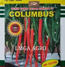 Jual Murah Benih Cabai Columbus Kapal Terbang Papar Cap Columbus