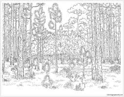 Coloring page of animals in the jungle. Old Forest Coloring Pages Forest Coloring Pages Coloring Pages For Kids And Adults