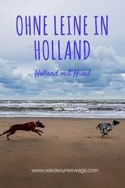 Met de metro naar het strand in hoek van holland. Hundestrand Noordwijk Ohne Leine Am Kilometerweiten Strand In Holland Playa Para Perros Perros Perros Mascotas