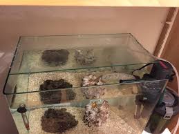 水槽 蓋 自作 100 均