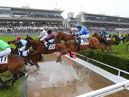 What fantastic rewards will you earn together? Grand Steeple Chase De Paris Vip Experiences