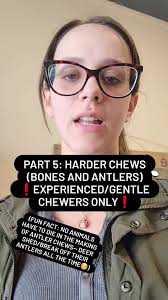 Part 5! Harder chews for experienced chewers (bones and antlers, which  scale/clean the teeth while lasting a long time). Explaining the chews we  carry and how we recommend their use! Mountain Wild ...