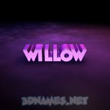Willow 3d Name Wallpaper See what willow (willowsophy) has discovered on pinterest, the world's biggest collection of ideas. willow 3d name wallpaper