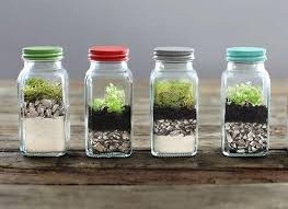 Diy Plants Terrariums Enchanted Miniature Garden Designs In Recycled Glass Vessels Build A Terrarium Tabletop Terrarium Plants