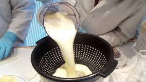 Extraction De L Amidon Pour Fabriquer Un Bioplastique Youtube