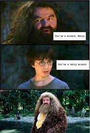 You are a wizard harry by tonyvg14 more memes here. Touche Harry Potter Love Harry Potter 2 Harry Potter Memes