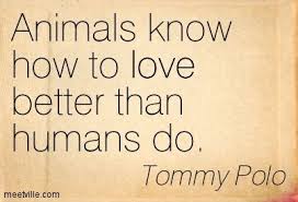 Animals Are Better Than Humans Quotes Humanity Quotes Quotes Human
