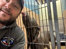 Our boy Ozzie. He'll be four in August. Happiest in the sunshine, playing  with a ball, or taking over our bed!! We all love him so much.