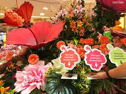 Bunga ini memiliki warna yang sangat tajam dan pada bagian daunnya terdapat corak. Sunway Pyramid Bertukar Taman Bunga Bunga Raya Bagi Aidil Fitri 2019