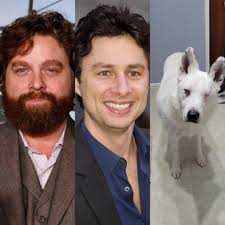 Any advice for a first-time pet owner?