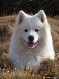 Just say hi ! So we know you are still active in this group❤️😍