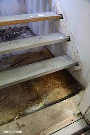 These hatchways are usually not sealed to the foundation walls. Before And After My Walkout Basement Repair And Makeover