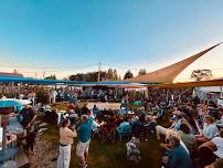 ChanMan Roots Bands - Live music