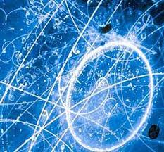 Lumina (şi toate celelalte forme de radiaţie electromagnetică) călătoresc în vid cu o viteză de circa 300.000 km/s, iar în aer ceva mai rolul în relativitate de mare importanţă este poate rolul vitezei luminii în teoria relativităţii a lui albert einstein. Un Nou Test Cu Particulele Neutrino Viteza Luminii Din Nou DepÄƒÈ™itÄƒ Ziarul Curentul