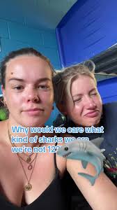 Sticking to the shark theme now! #agneswater #agneswaters #agneswater1770  #1770 #townof1770 #sharky #sharksoftiktok #australia #eastcoast  #eastcoastaustralia #australiaeastcoast #eastcoasttravel ...