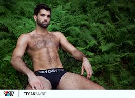 Is Tegan Zayne The Best Gay Porn Star Of 2016? | STR8UPGAYPORN