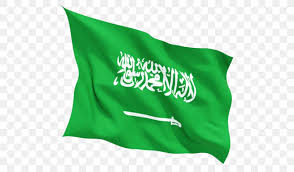 The flag of the kingdom of saudi arabia is the flag used by the government of saudi arabia since 15 march 1973. Flag Of Saudi Arabia Flag Of Kosovo Png 640x480px Saudi Arabia Flag Flag Of Kosovo Flag